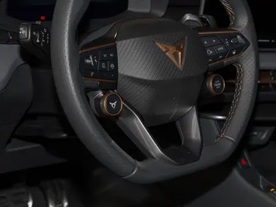 Cupra Terramar – Foto 11