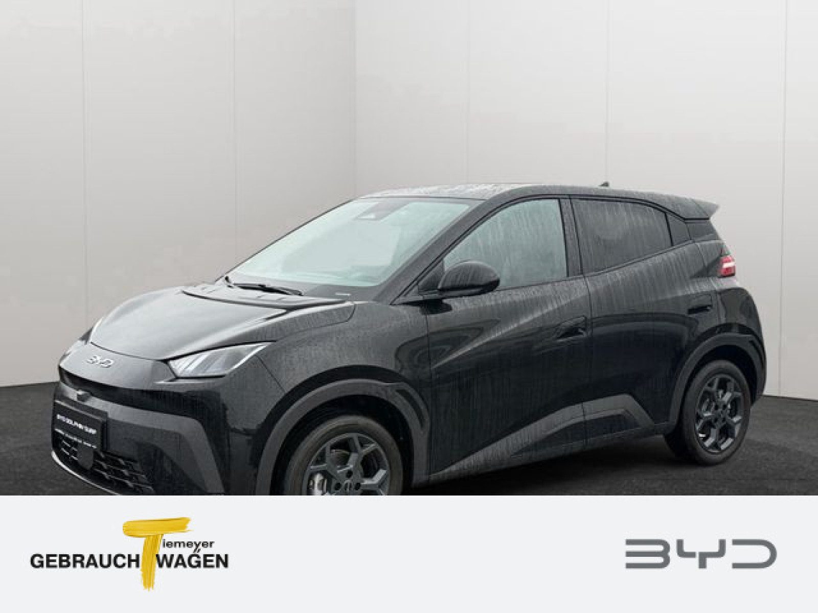 BYD DOLPHIN SURF