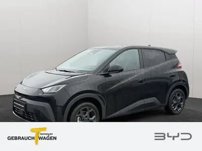 BYD DOLPHIN SURF – Foto 1