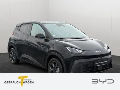 BYD DOLPHIN SURF – Foto 2