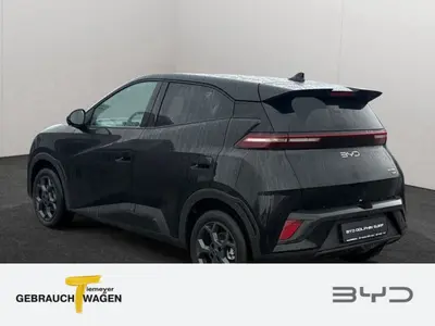BYD DOLPHIN SURF – Foto 6