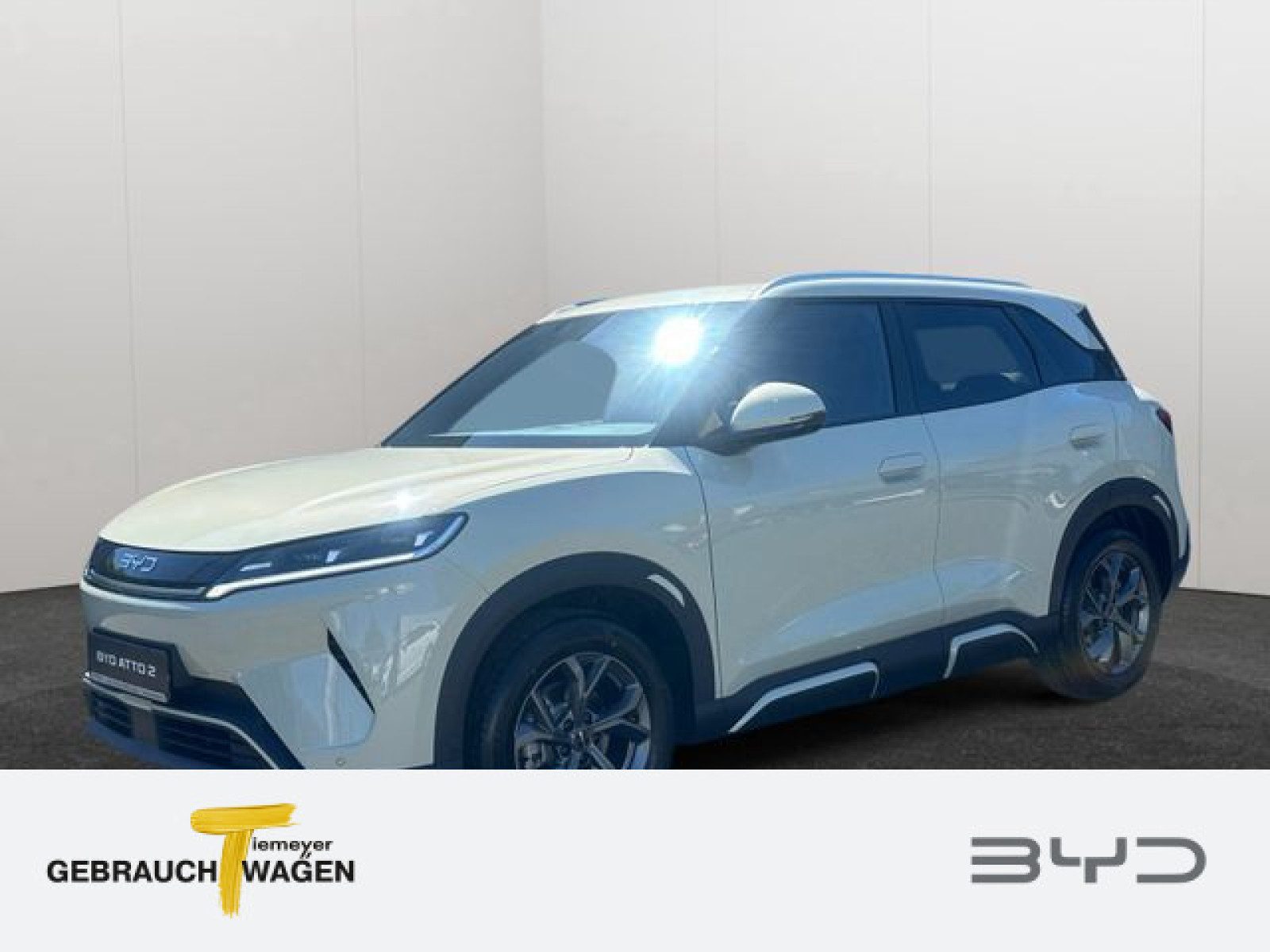 BYD ATTO 2