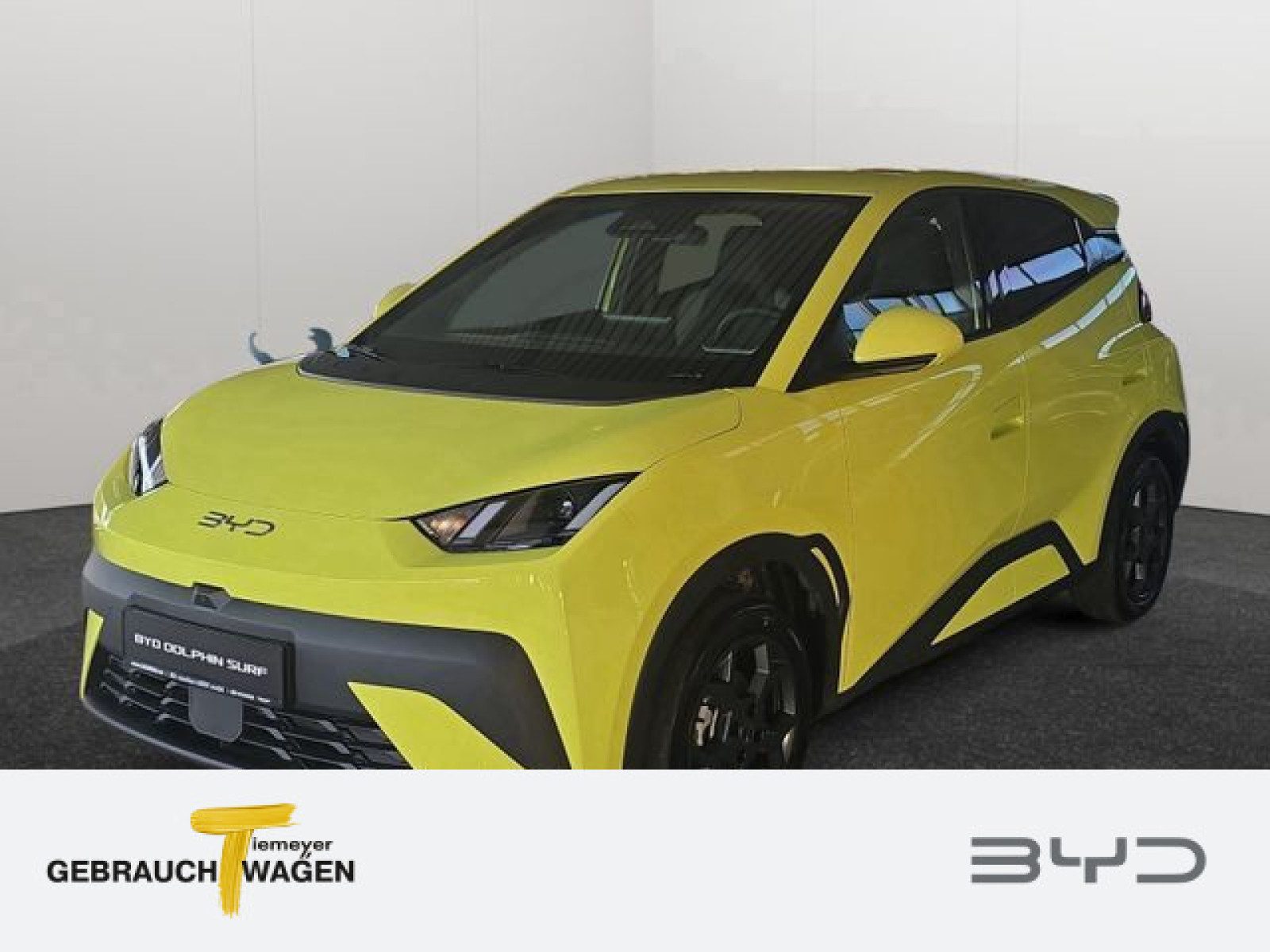 BYD DOLPHIN SURF