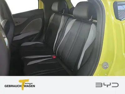 BYD DOLPHIN SURF – Foto 10