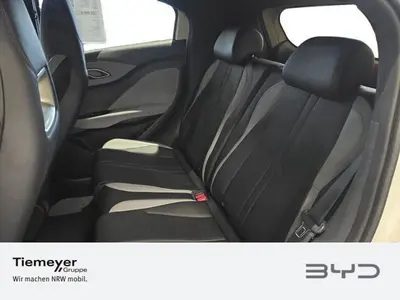 BYD DOLPHIN SURF – Foto 10