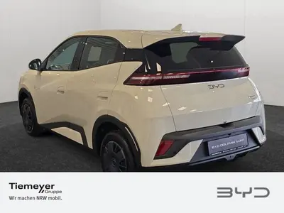 BYD DOLPHIN SURF – Foto 6
