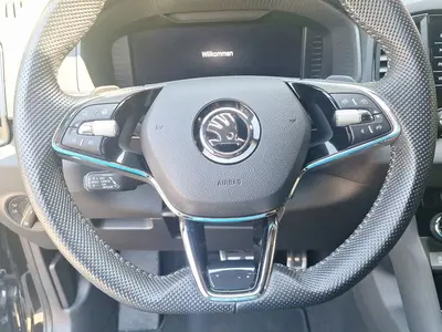 Skoda Karoq – Foto 9