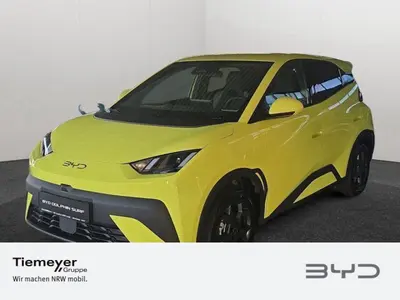 BYD DOLPHIN SURF