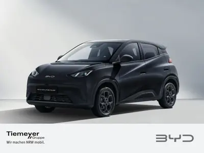 BYD DOLPHIN SURF