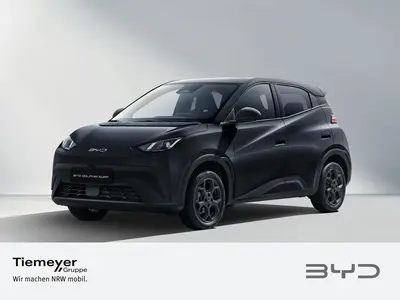 BYD DOLPHIN SURF