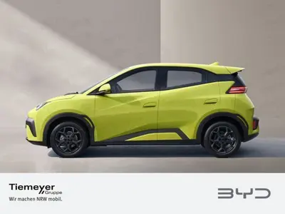 BYD DOLPHIN SURF