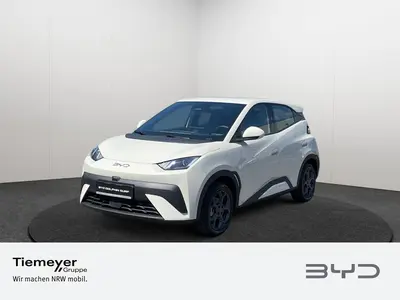 BYD DOLPHIN SURF