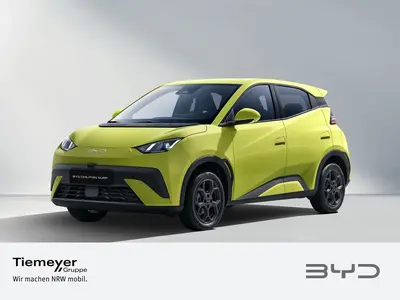 BYD DOLPHIN SURF