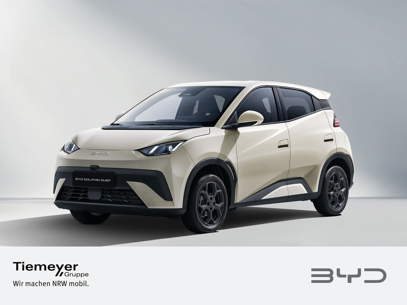 BYD DOLPHIN SURF