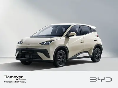 BYD DOLPHIN SURF – Foto 1