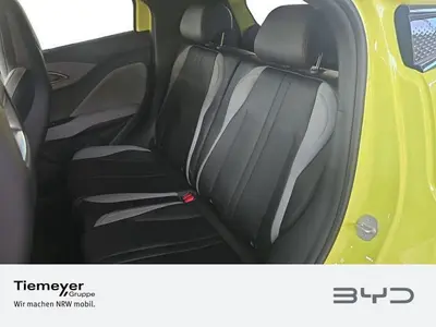 BYD DOLPHIN SURF – Foto 10