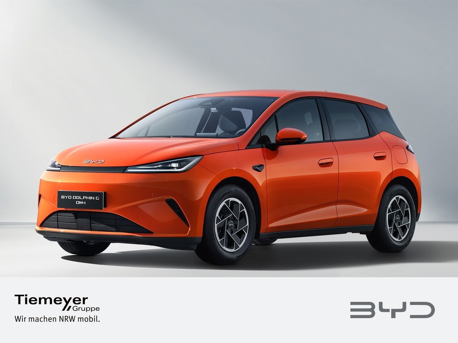 BYD DOLPHIN