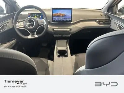 BYD DOLPHIN SURF – Foto 11