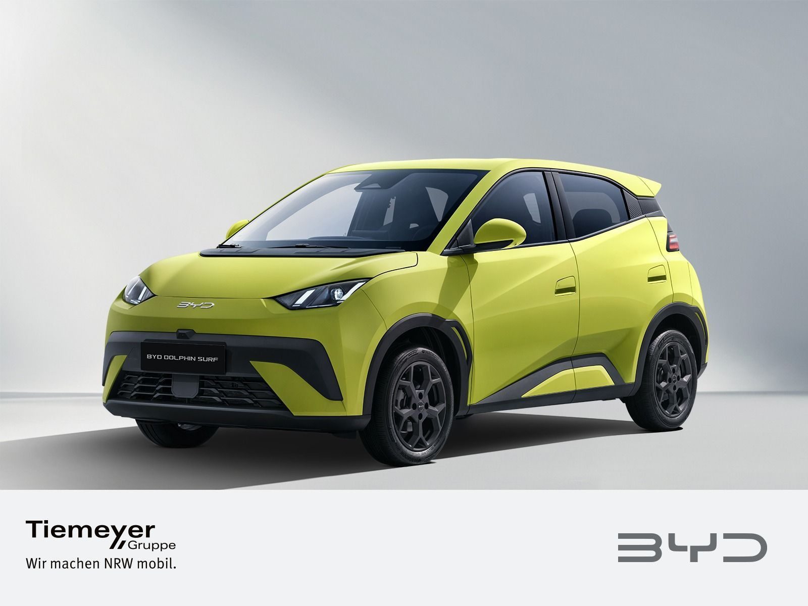 BYD DOLPHIN SURF
