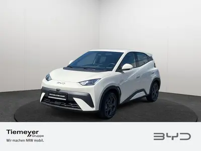 BYD DOLPHIN SURF – Foto 1