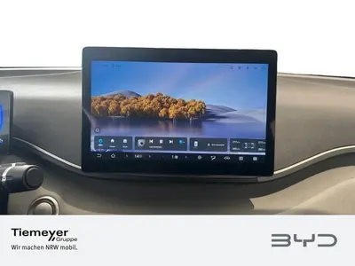 BYD DOLPHIN SURF – Foto 13