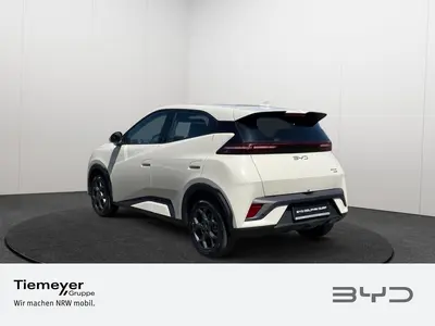BYD DOLPHIN SURF – Foto 7