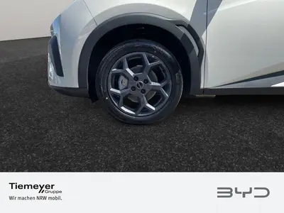 BYD DOLPHIN SURF – Foto 9