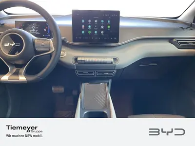 BYD DOLPHIN SURF – Foto 13